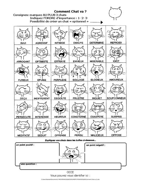 chat commet|comment chat va pdf.